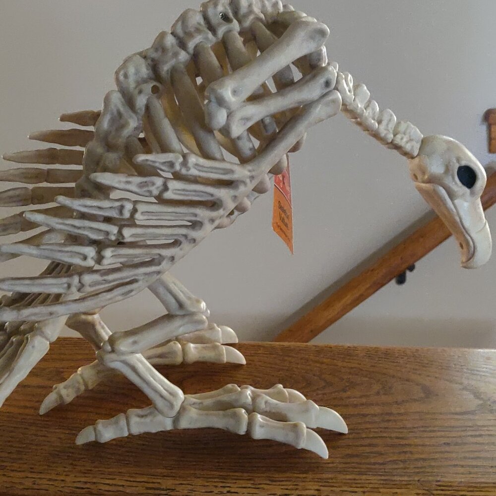 Realistic Rubbery Skeleton Vulture 14" Length x 10" Height - Picture 4 of 5